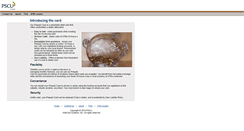 Desktop Screenshot of gprprepaid.pscufs.com